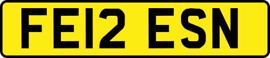 FE12ESN