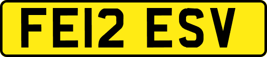 FE12ESV