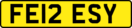 FE12ESY
