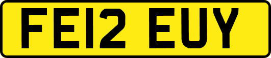 FE12EUY