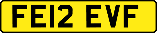 FE12EVF