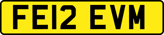 FE12EVM