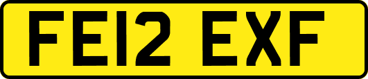 FE12EXF