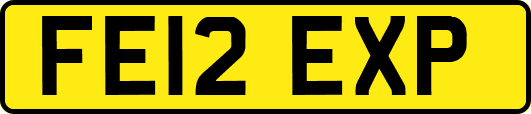 FE12EXP