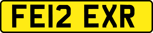 FE12EXR
