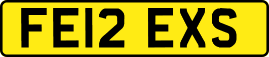 FE12EXS