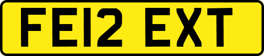 FE12EXT