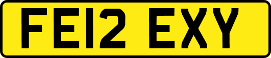 FE12EXY