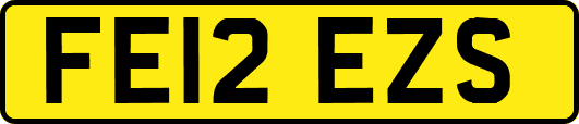 FE12EZS