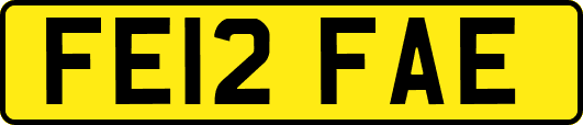 FE12FAE