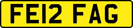 FE12FAG