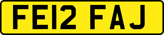 FE12FAJ