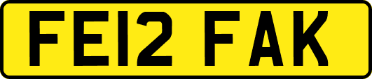 FE12FAK