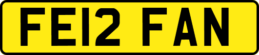 FE12FAN