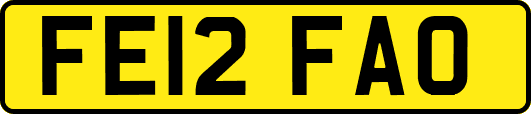 FE12FAO