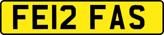 FE12FAS
