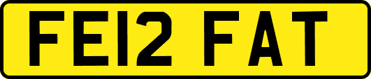 FE12FAT