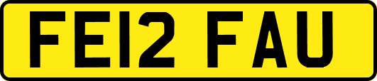 FE12FAU
