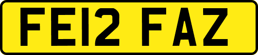 FE12FAZ