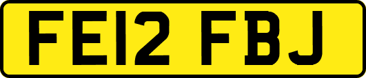 FE12FBJ