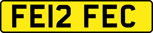 FE12FEC