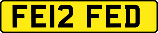FE12FED
