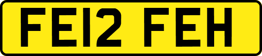 FE12FEH