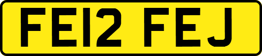 FE12FEJ