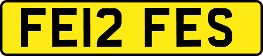 FE12FES