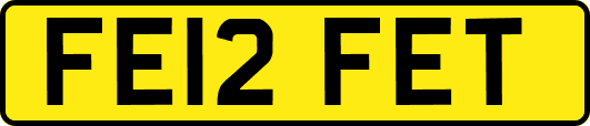 FE12FET