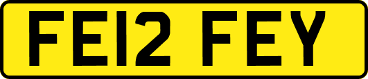 FE12FEY