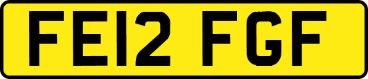FE12FGF