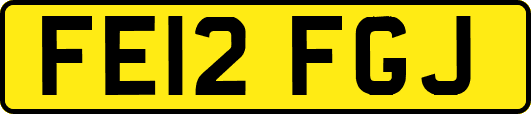 FE12FGJ