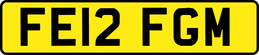 FE12FGM