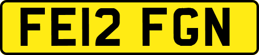 FE12FGN