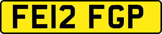 FE12FGP