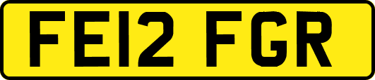 FE12FGR