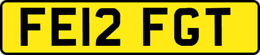 FE12FGT