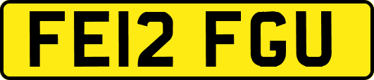 FE12FGU