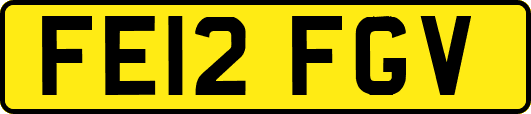 FE12FGV