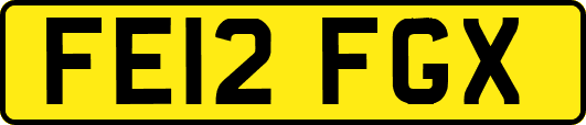 FE12FGX