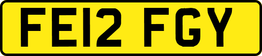 FE12FGY