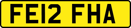 FE12FHA