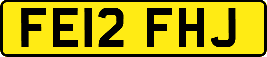 FE12FHJ