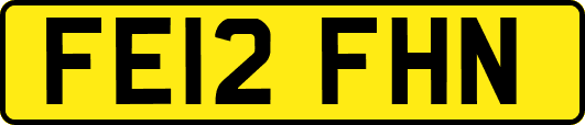 FE12FHN