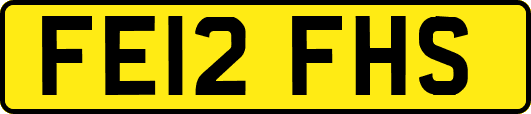FE12FHS