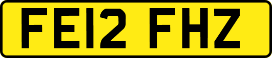 FE12FHZ