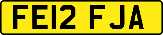 FE12FJA