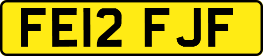 FE12FJF