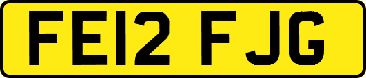 FE12FJG